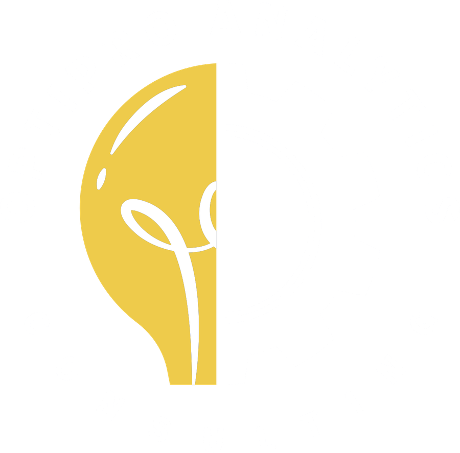 OptiPro Analytics Consulting logo